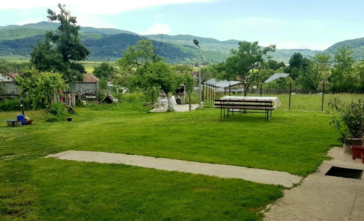 Pensiunea Adeluta Apartament Călimăneşti Esterno foto